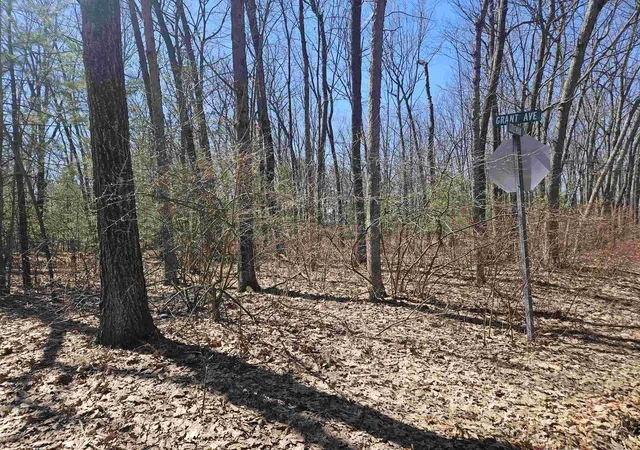 Photo 2 of Land for sale at Parcel A Grant Ave, Harrison, MI 48625 | MLS# 50203554 | Listing updated on 2026-10-05