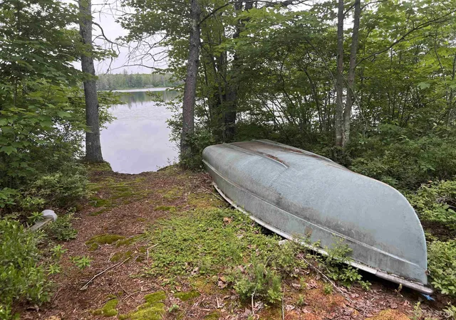 Photo 1 of Land for sale at Tbd Olson Loop Rd, Iron River, MI 49935 | MLS# 50223958 | Listing updated on 2026-10-21