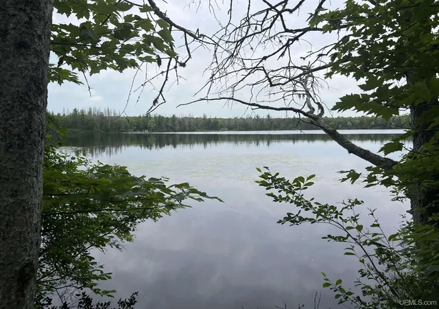Photo 2 of Land for sale at Tbd Olson Loop Rd, Iron River, MI 49935 | MLS# 50223958 | Listing updated on 2026-10-21