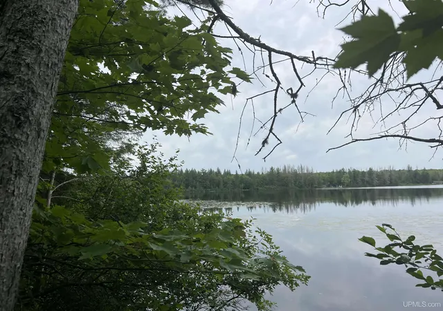 Photo 3 of Land for sale at Tbd Olson Loop Rd, Iron River, MI 49935 | MLS# 50223958 | Listing updated on 2026-10-21