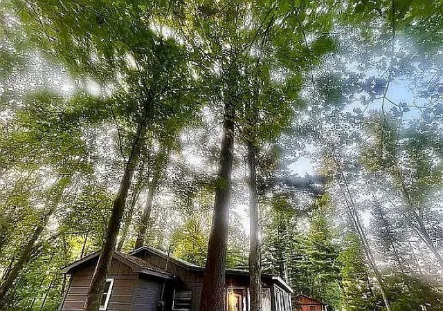 Photo 2 of Single family home for sale at 5298 Mills Dr #LOT 87 88, Prescott, MI 48756 | MLS# 80074400 | Listing updated on 2026-10-12