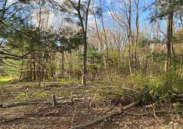 Photo 2 of Land for sale at 0 Colangelo Ln, Hamburg, MI 48189 | MLS# 61032077 | Listing updated on 2026-09-24