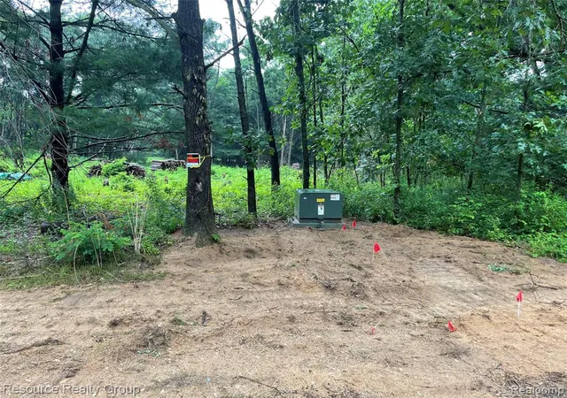 Photo 3 of Land for sale at 0 Colangelo Ln, Hamburg, MI 48189 | MLS# 61032077 | Listing updated on 2026-09-24