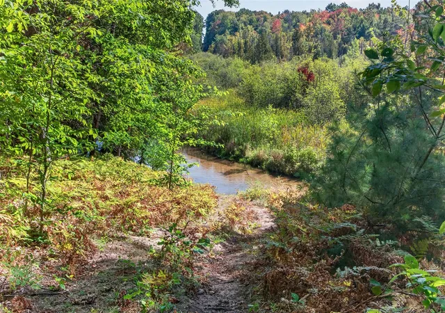 Photo 3 of Land for sale at 8500 N 80th Avenue, Pentwater, MI 49449 | MLS# 70562220 | Listing updated on 2026-10-06