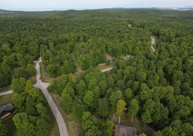 Photo 3 of Land for sale at 11 W Timber View Trl, Empire, MI 49630 | MLS# 80067414 | Listing updated on 2026-09-03