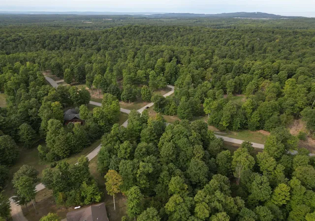 Photo 4 of Land for sale at 11 W Timber View Trl, Empire, MI 49630 | MLS# 80067414 | Listing updated on 2026-09-03