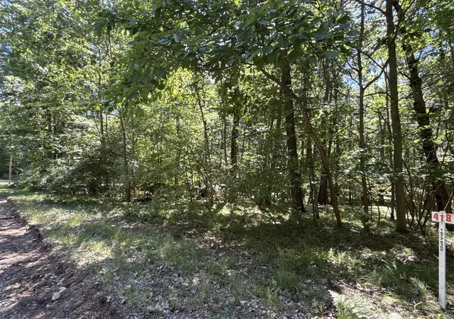 Photo 2 of Land for sale at 0 Vacant Land Bundle, Stanwood, MI 49346 | MLS# 70557000 | Listing updated on 2026-09-14