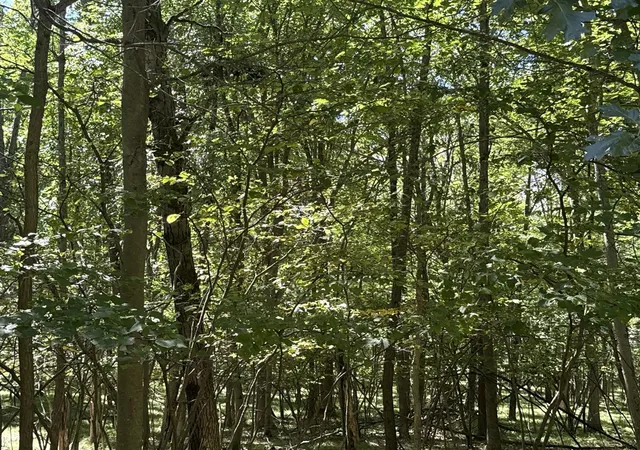 Photo 3 of Land for sale at 0 Vacant Land Bundle, Stanwood, MI 49346 | MLS# 70557000 | Listing updated on 2026-09-14