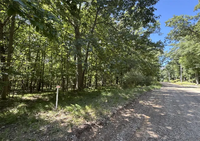 Photo 4 of Land for sale at 0 Vacant Land Bundle, Stanwood, MI 49346 | MLS# 70557000 | Listing updated on 2026-09-14