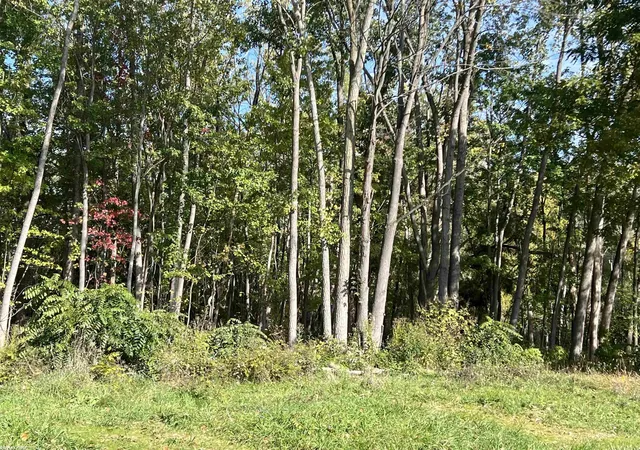 Photo 2 of Land for sale at 0 Walnut Dr, East China, MI 48054 | MLS# 50223991 | Listing updated on 2026-10-06