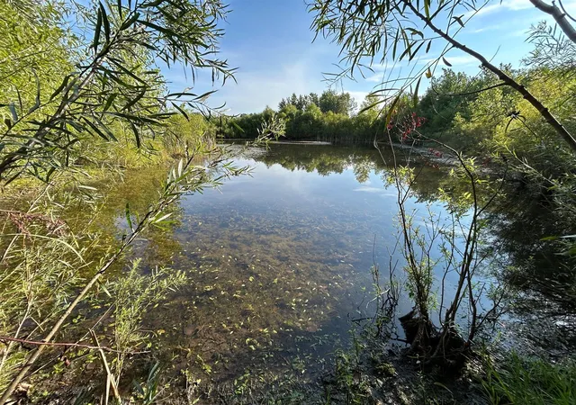 Photo 3 of Land for sale at Church Rd, Hillsdale, MI 49242 | MLS# 70555213 | Listing updated on 2026-09-10