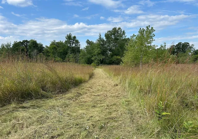 Photo 4 of Land for sale at Church Rd, Hillsdale, MI 49242 | MLS# 70555213 | Listing updated on 2026-09-10