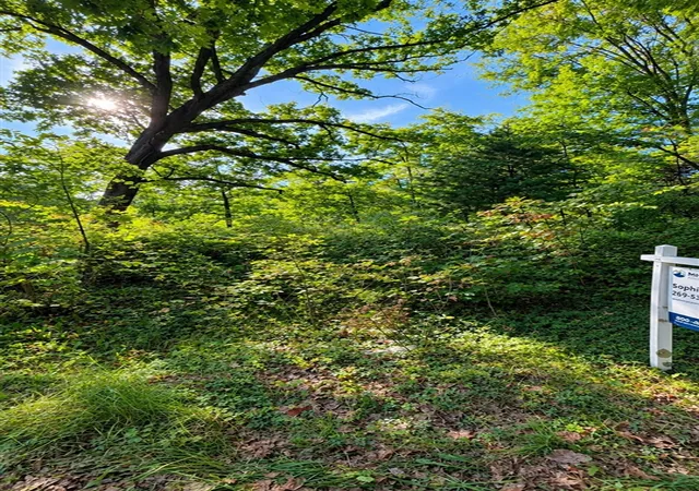 Photo 1 of Land for sale at 252 51 1/2 St, Grand Junction, MI 49056 | MLS# 70557937 | Listing updated on 2026-09-11