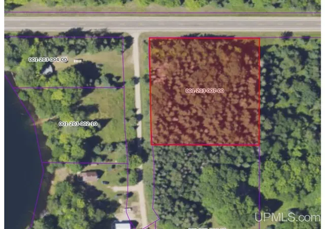 Photo 2 of Land for sale at Tbd Ackerman Lake Rd, Au Train, MI 49806 | MLS# 50220774 | Listing updated on 2026-09-03