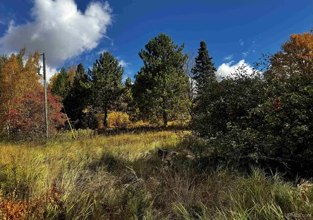 Photo 1 of Land for sale at 20191 Keranen Rd, Lanse, MI 49946 | MLS# 50224310 | Listing updated on 2026-10-11