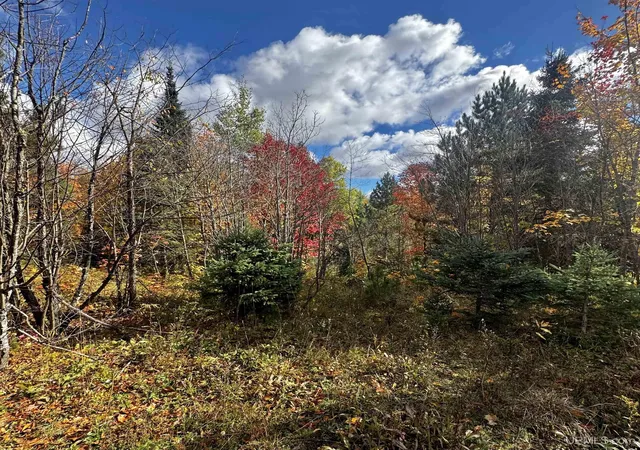 Photo 3 of Land for sale at 20191 Keranen Rd, Lanse, MI 49946 | MLS# 50224310 | Listing updated on 2026-10-11