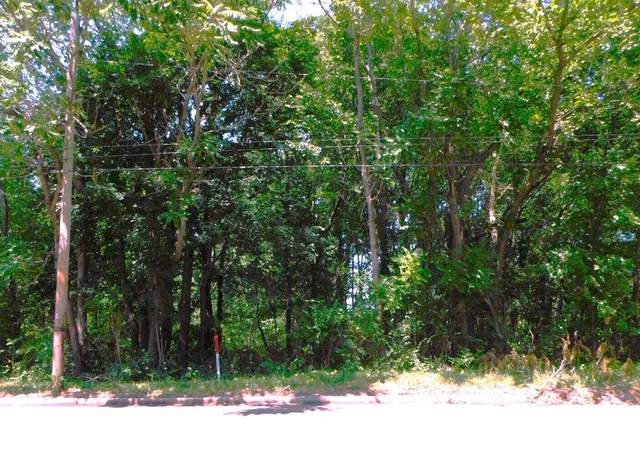 Land for sale at E Napier Ave, Benton Harbor, MI 49022 | MLS# 70562376