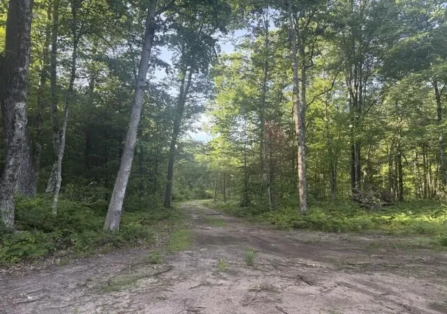 Photo 4 of Sale Pending at 4802 E 96th Street, Newaygo, MI 49337 | MLS# 70519262 | Listing updated on 2026-09-06