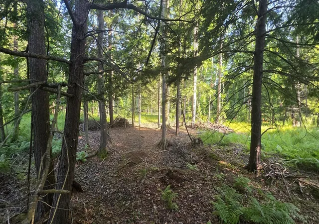 Photo 1 of Sale Pending at 10 E Acres Free Soil Rd, Free Soil, MI 49411 | MLS# 70552341 | Listing updated on 2026-10-16