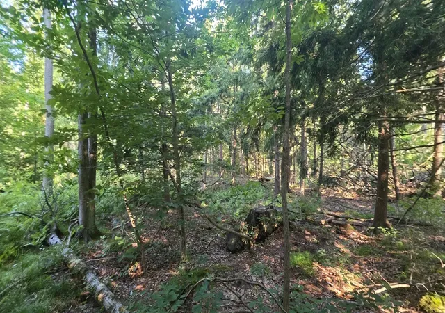 Photo 2 of Sale Pending at 10 E Acres Free Soil Rd, Free Soil, MI 49411 | MLS# 70552341 | Listing updated on 2026-10-16