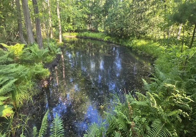 Photo 3 of Sale Pending at 10 E Acres Free Soil Rd, Free Soil, MI 49411 | MLS# 70552341 | Listing updated on 2026-10-16