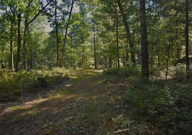 Photo 1 of Sale Pending at Whitney St, Baldwin, MI 49304 | MLS# 70562498 | Listing updated on 2026-10-09