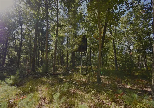 Photo 2 of Sale Pending at Whitney St, Baldwin, MI 49304 | MLS# 70562498 | Listing updated on 2026-10-09
