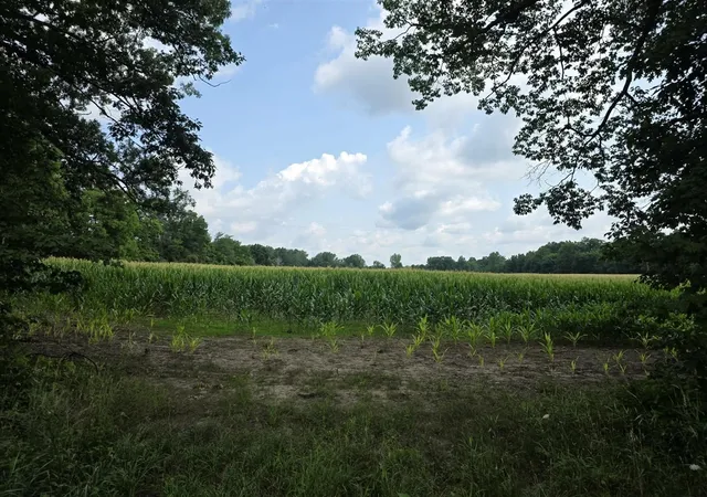 Photo 2 of Sale Pending at Q Dr S (parcel 1), Burlington, MI 49029 | MLS# 70550797 | Listing updated on 2026-09-04