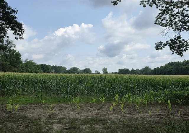 Photo 3 of Sale Pending at Q Dr S (parcel 1), Burlington, MI 49029 | MLS# 70550797 | Listing updated on 2026-09-04