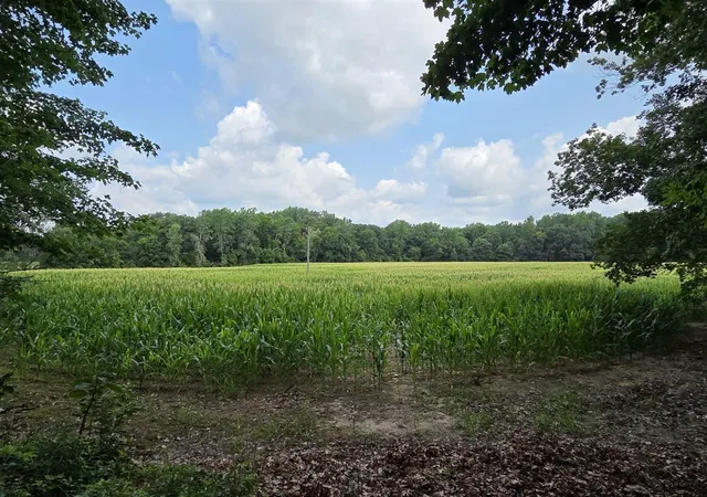 Photo 3 of Sale Pending at Q Dr S (parcel 1), Burlington, MI 49029 | MLS# 70550797 | Listing updated on 2026-09-04