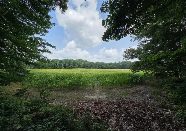 Photo 4 of Sale Pending at Q Dr S (parcel 1), Burlington, MI 49029 | MLS# 70550797 | Listing updated on 2026-09-04