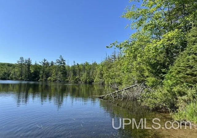 Photo 3 of Land for sale at 33 Acres La Fave Dr, Goodman T Wi, WI 54125 | MLS# 50220560 | Listing updated on 2026-09-09