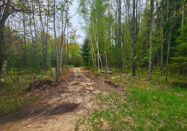 Photo 2 of Land for sale at 2187 W Koenig Rd, Manistee, MI 49660 | MLS# 70533697 | Listing updated on 2026-09-21