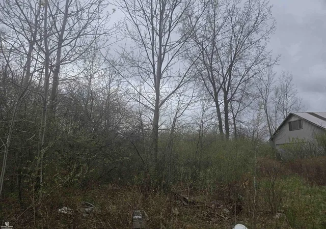 Photo 4 of Land for sale at 5637 Metcalf Vl Rd, Clyde, MI 48049 | MLS# 50205524 | Listing updated on 2026-09-08