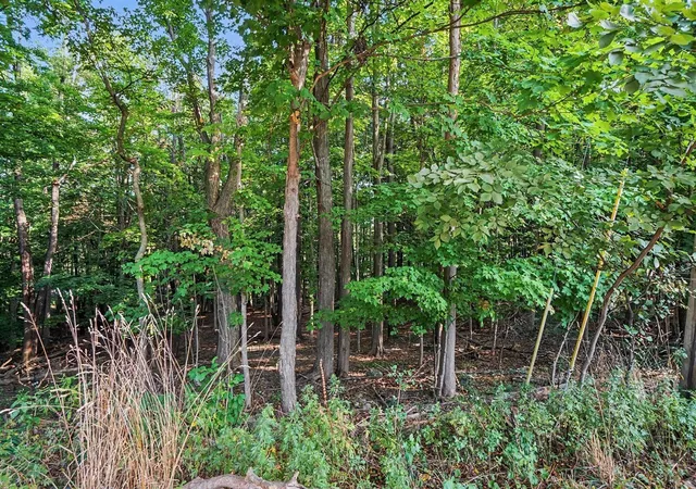 Photo 1 of Land for sale at 2610 Parkview Ave, Kalamazoo, MI 49008 | MLS# 70555833 | Listing updated on 2026-09-04