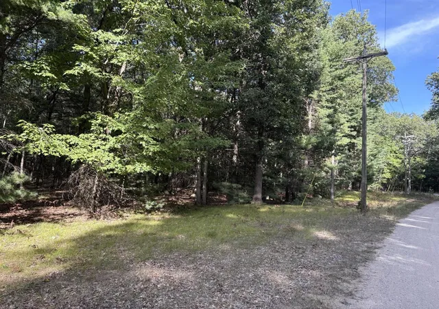 Photo 1 of Land for sale at Lot 136 Wayne Ave, Pentwater, MI 49449 | MLS# 70558782 | Listing updated on 2026-10-15