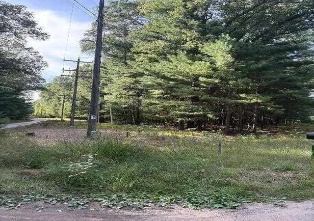 Photo 3 of Land for sale at Lot 136 Wayne Ave, Pentwater, MI 49449 | MLS# 70558782 | Listing updated on 2026-10-15