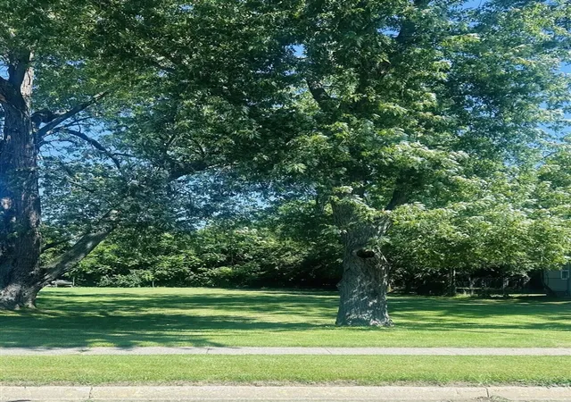 Photo 2 of Land for sale at 261 S West St, Coloma, MI 49038 | MLS# 70552930 | Listing updated on 2026-09-15