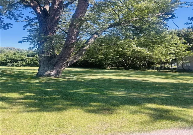 Photo 3 of Land for sale at 261 S West St, Coloma, MI 49038 | MLS# 70552930 | Listing updated on 2026-09-15