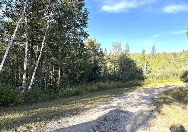 Photo 3 of Land for sale at Vl 79 Acres Premo Dam Rd, Amasa, MI 49903 | MLS# 61032920 | Listing updated on 2026-09-24