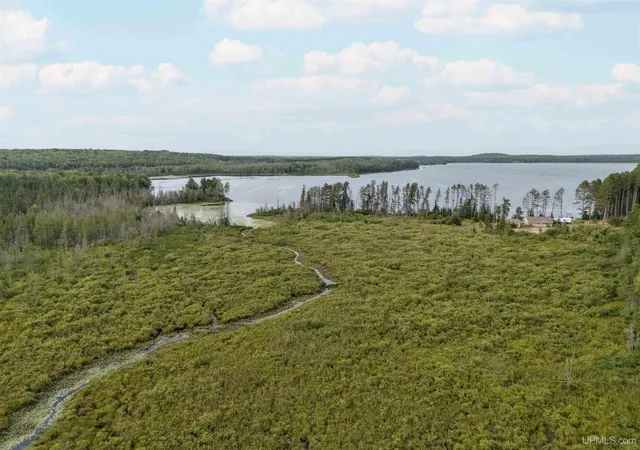 Photo 3 of Land for sale at Tbd Eagles Nest Ln, Iron River, MI 49935 | MLS# 50219055 | Listing updated on 2026-09-18