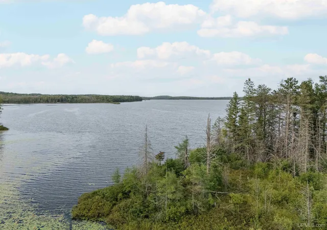 Photo 4 of Land for sale at Tbd Eagles Nest Ln, Iron River, MI 49935 | MLS# 50219055 | Listing updated on 2026-09-18