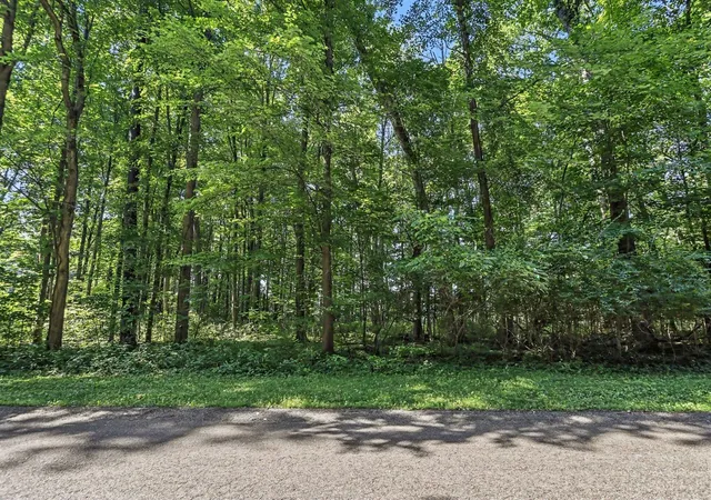 Photo 1 of Land for sale at 13986 Peninsula Dr, Galesburg, MI 49053 | MLS# 70544631 | Listing updated on 2026-10-21
