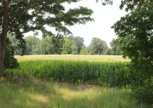 Photo 1 of Sale Pending at P Dr S (parcel 4), Burlington, MI 49029 | MLS# 70550800 | Listing updated on 2026-09-04