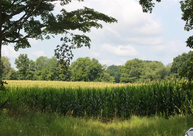 Photo 3 of Sale Pending at P Dr S (parcel 4), Burlington, MI 49029 | MLS# 70550800 | Listing updated on 2026-09-04