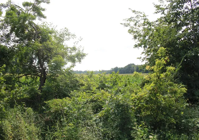 Photo 3 of Sale Pending at P Dr S (parcel 4), Burlington, MI 49029 | MLS# 70550800 | Listing updated on 2026-09-04