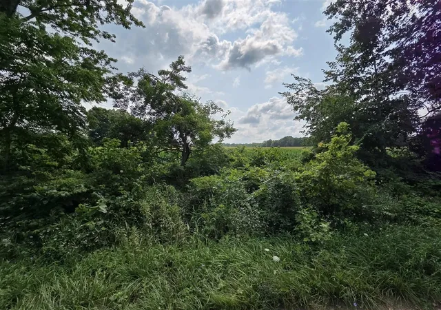 Photo 2 of Sale Pending at 13 Mile Rd (parcel 3), Burlington, MI 49029 | MLS# 70550799 | Listing updated on 2026-09-04