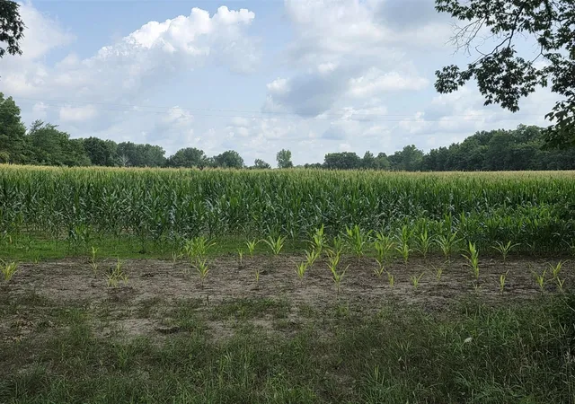 Photo 3 of Sale Pending at 13 Mile Rd (parcel 3), Burlington, MI 49029 | MLS# 70550799 | Listing updated on 2026-09-04