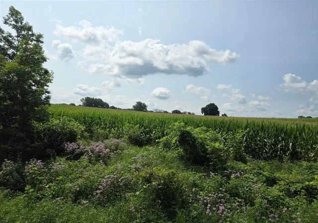 Photo 4 of Sale Pending at 13 Mile Rd (parcel 3), Burlington, MI 49029 | MLS# 70550799 | Listing updated on 2026-09-04