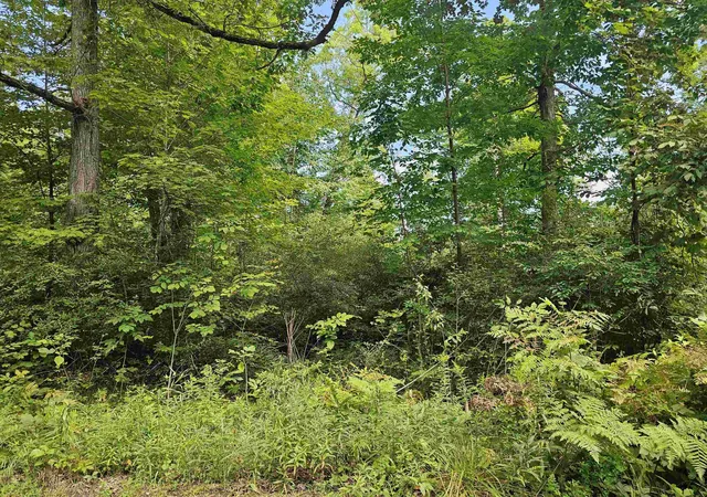 Photo 1 of Land for sale at V/l Oak Ln, Hale, MI 48739 | MLS# 80055731 | Listing updated on 2026-09-03